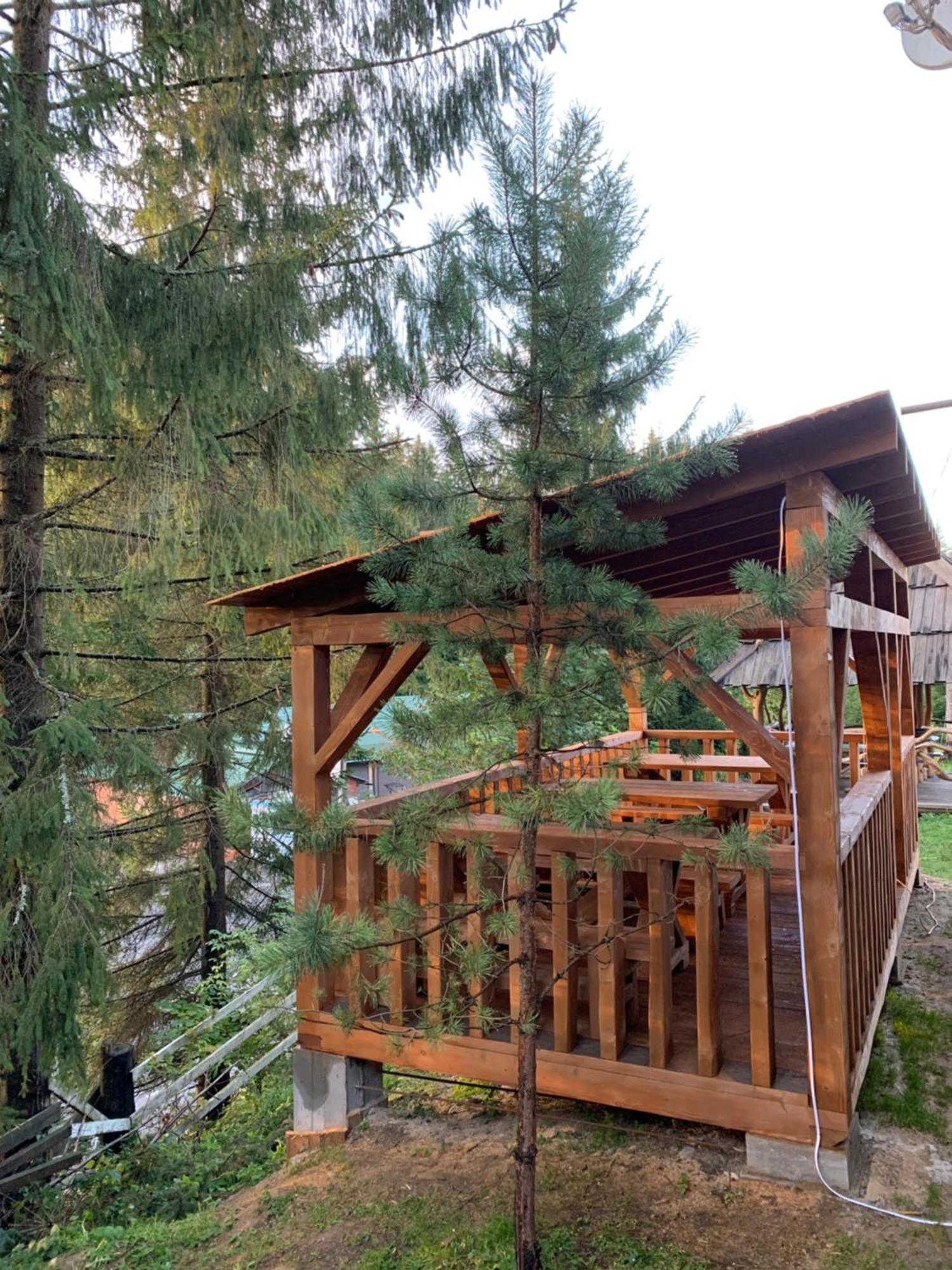 Hotel Novoe Shale ยาบลูนิตซา ภายนอก รูปภาพ